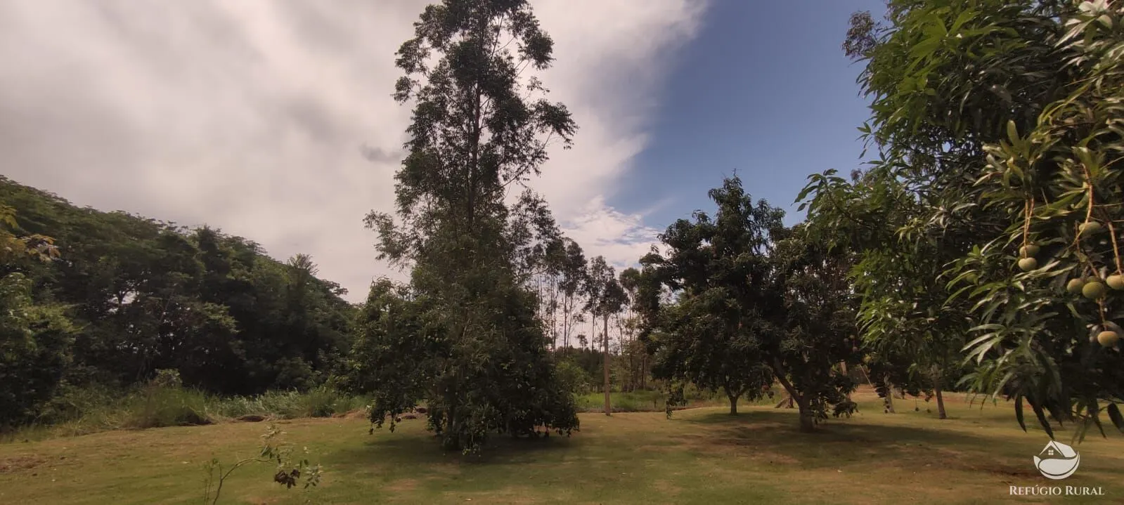 Sítio à venda de 3.600 m² em Santa Helena de Goiás, GO, Brasil
