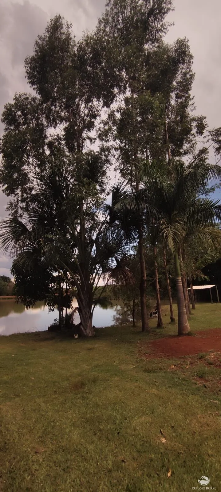 Sítio à venda de 3.600 m² em Santa Helena de Goiás, GO, Brasil