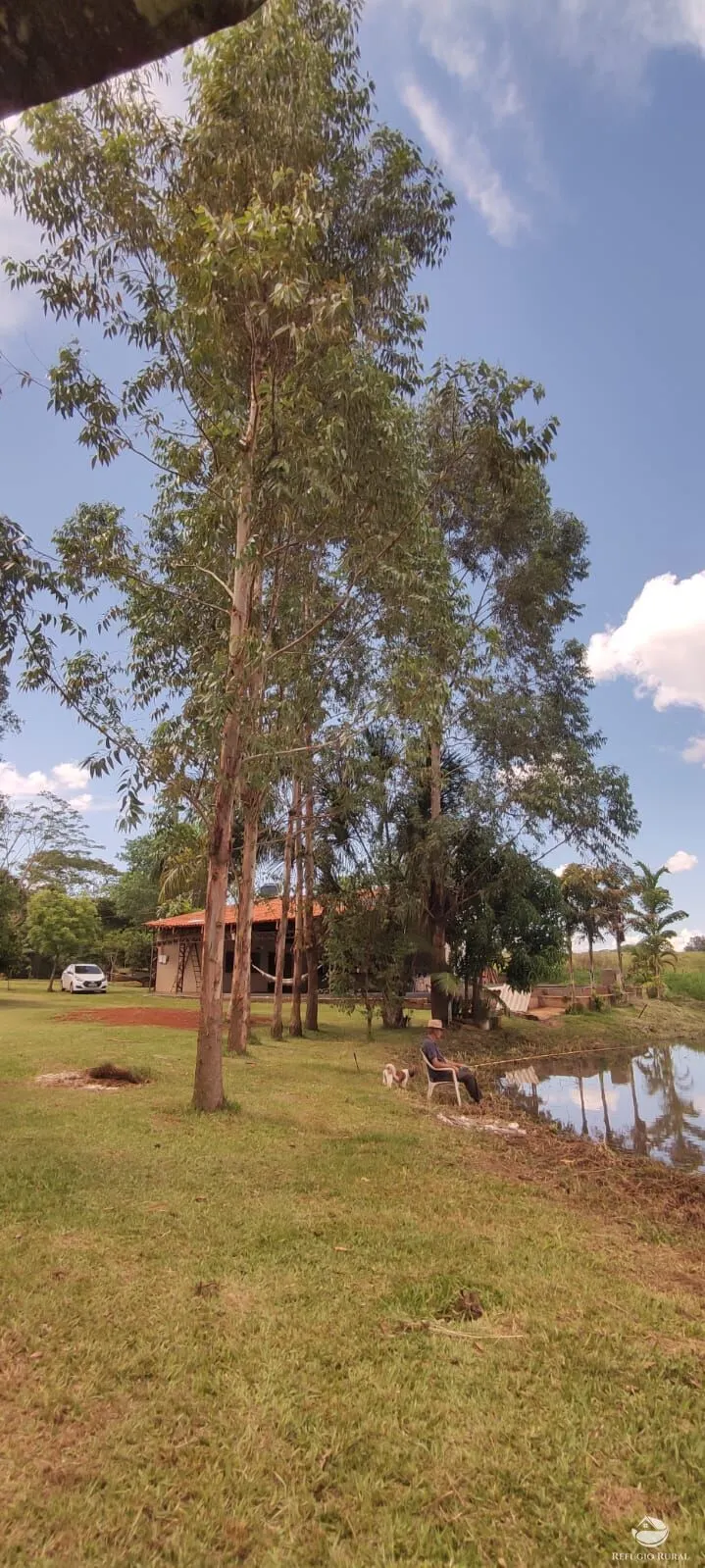 Sítio à venda de 3.600 m² em Santa Helena de Goiás, GO, Brasil
