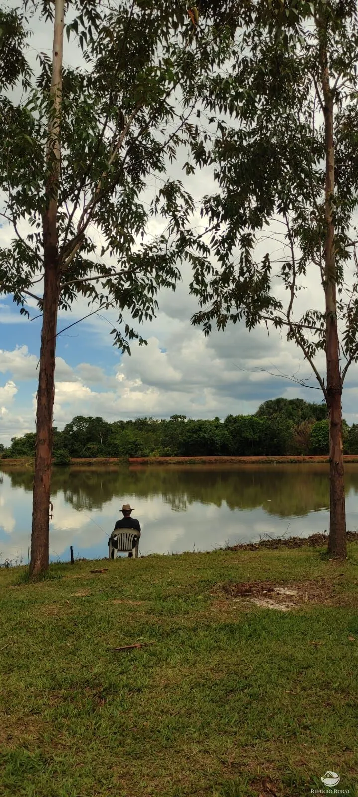 Sítio à venda de 3.600 m² em Santa Helena de Goiás, GO, Brasil