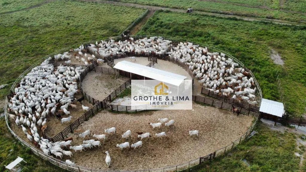 Fazenda à venda de 395 ha em São José dos Campos, SP, Brasil
