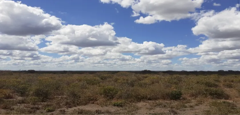 Terreno à venda de 643 ha em Socorro do Piauí, PI, Brasil