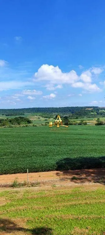 Fazenda à venda de 496 ha em Paranapanema, SP, Brasil