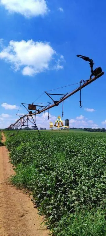 Fazenda à venda de 496 ha em Paranapanema, SP, Brasil
