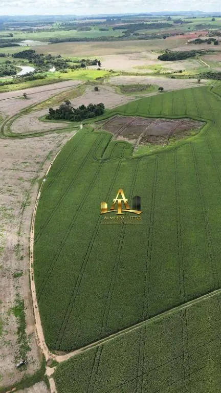 Fazenda à venda de 496 ha em Paranapanema, SP, Brasil
