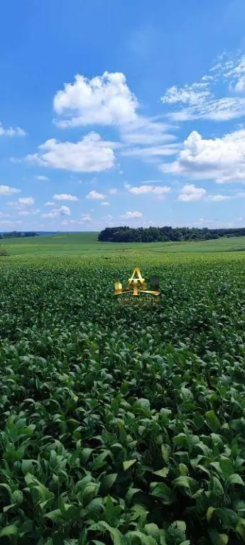 Fazenda à venda de 496 ha em Paranapanema, SP, Brasil