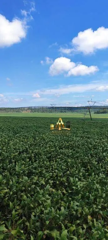 Fazenda à venda de 496 ha em Paranapanema, SP, Brasil