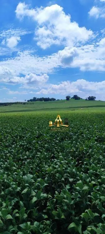 Fazenda à venda de 496 ha em Paranapanema, SP, Brasil