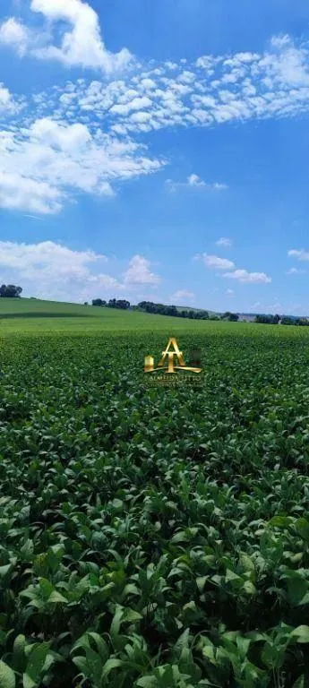 Fazenda à venda de 496 ha em Paranapanema, SP, Brasil