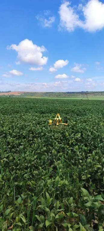 Fazenda à venda de 496 ha em Paranapanema, SP, Brasil