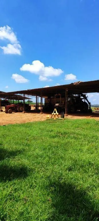Fazenda à venda de 496 ha em Paranapanema, SP, Brasil