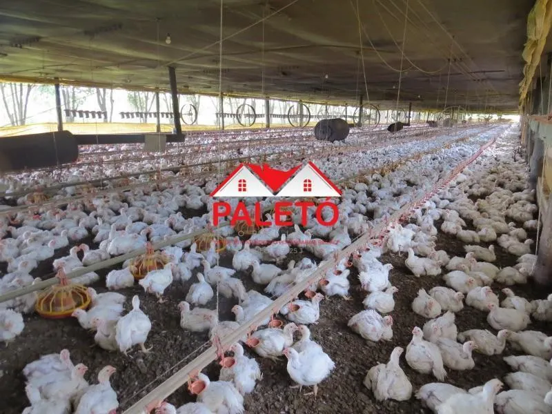Sítio à venda de 16 ha em Porangaba, SP, Brasil