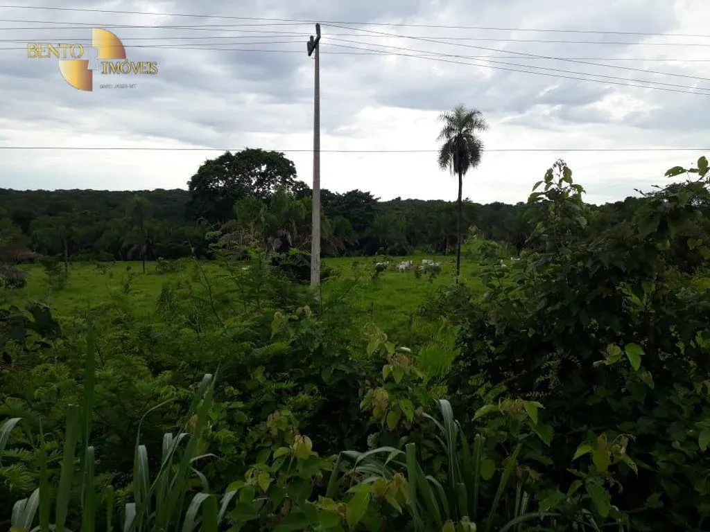 Fazenda à venda de 2.000 ha em Nossa Senhora do Livramento, MT, Brasil