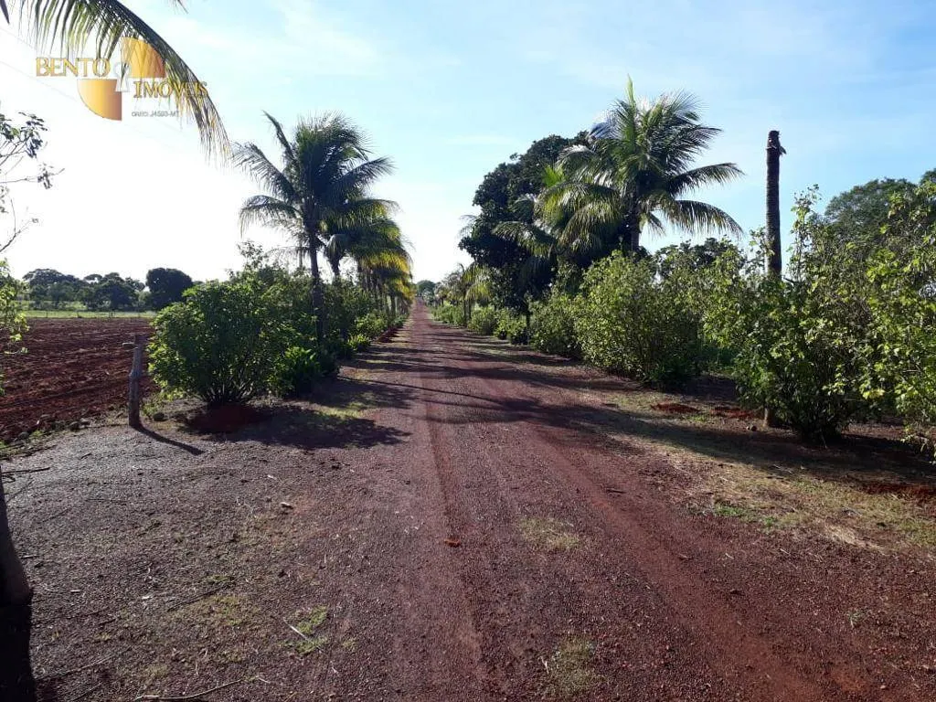 Fazenda à venda de 2.000 ha em Nossa Senhora do Livramento, MT, Brasil
