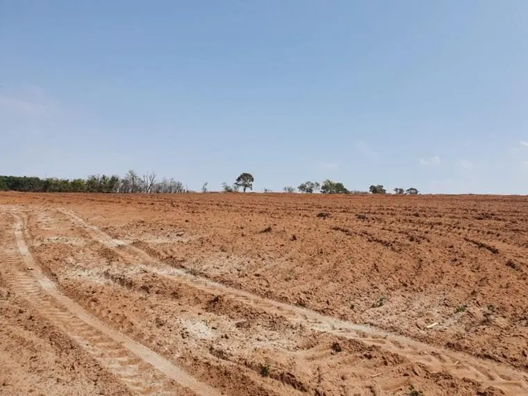 Fazenda à venda de 175 ha em Boa Esperança do Sul, SP, Brasil