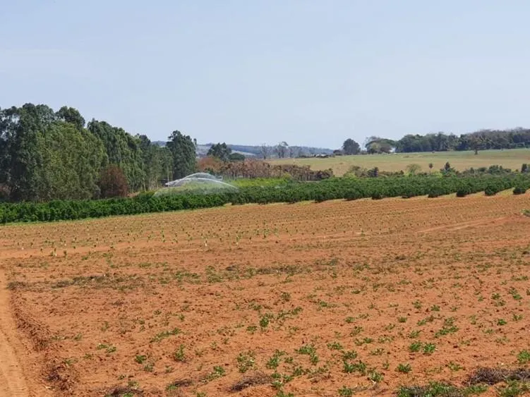 Fazenda à venda de 175 ha em Boa Esperança do Sul, SP, Brasil