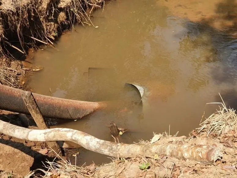 Fazenda à venda de 175 ha em Boa Esperança do Sul, SP, Brasil