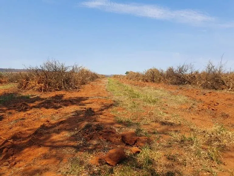 Fazenda à venda de 175 ha em Boa Esperança do Sul, SP, Brasil