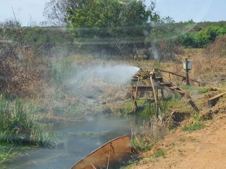 Fazenda à venda de 175 ha em Boa Esperança do Sul, SP, Brasil