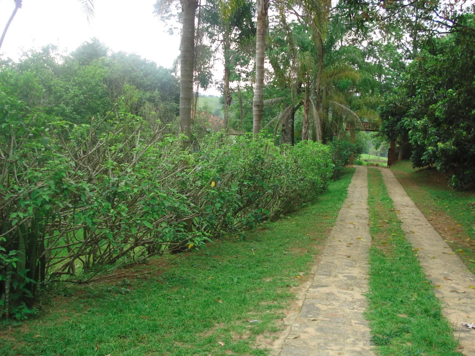 Small farm for sale of 5 acres in Monteiro Lobato, SP, Brazil