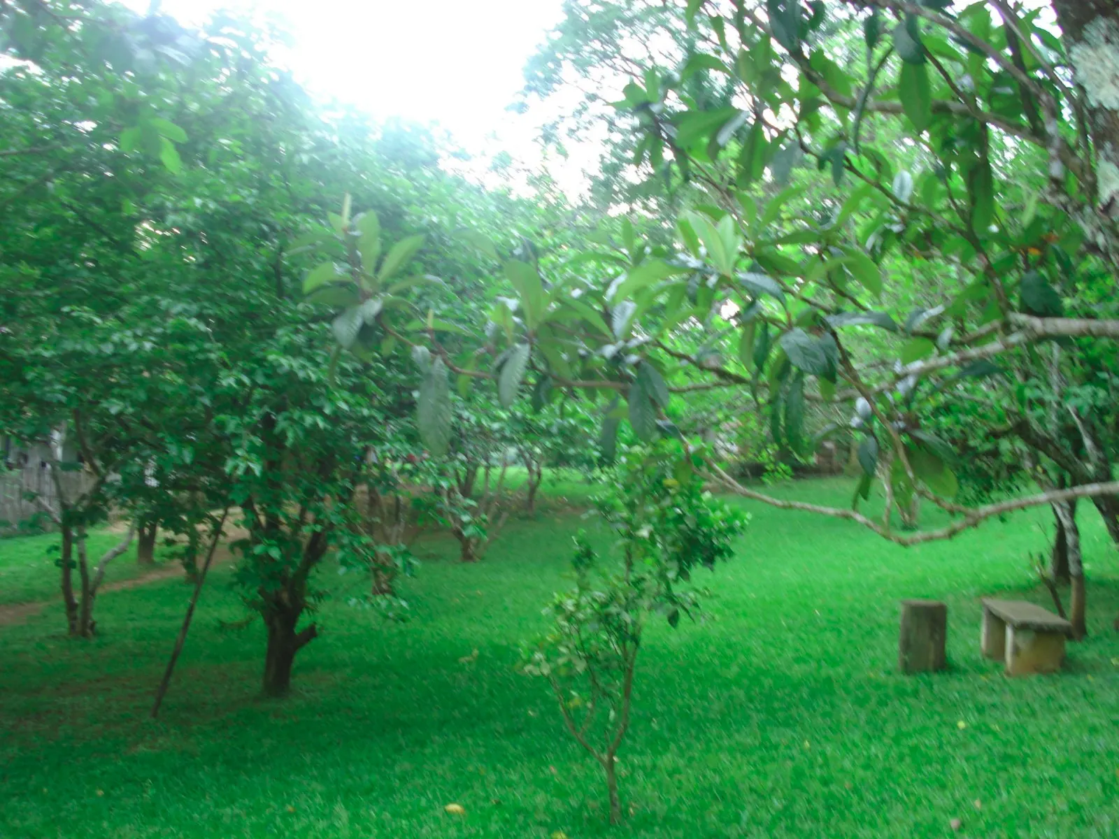 Small farm for sale of 5 acres in Monteiro Lobato, SP, Brazil