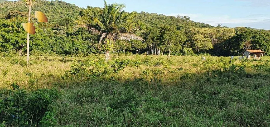 Fazenda à venda de 1.764 ha em Cáceres, MT, Brasil