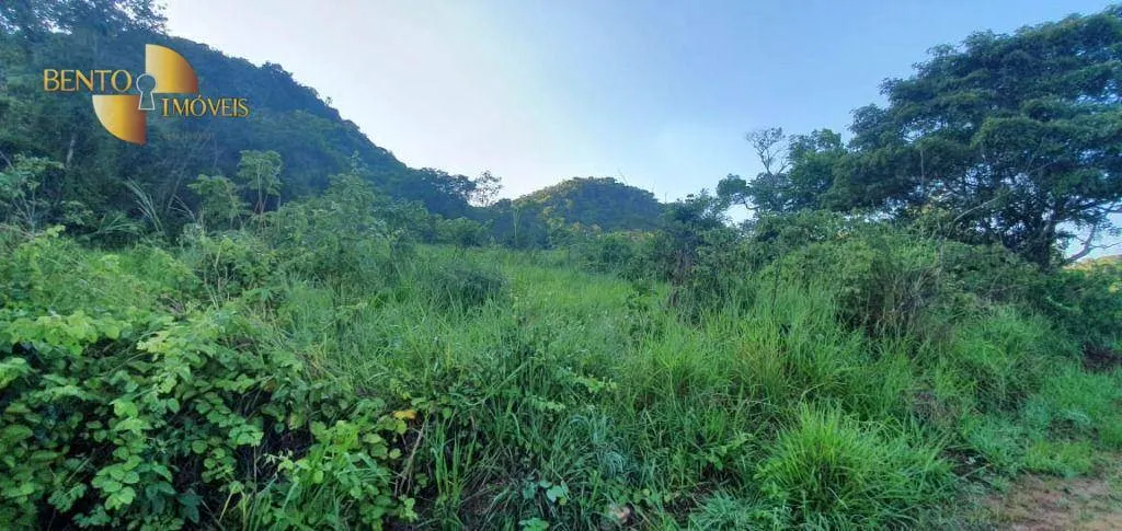 Fazenda à venda de 1.764 ha em Cáceres, MT, Brasil