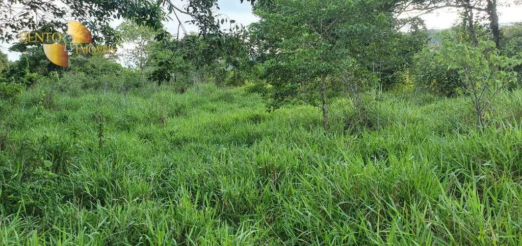 Fazenda à venda de 1.764 ha em Cáceres, MT, Brasil