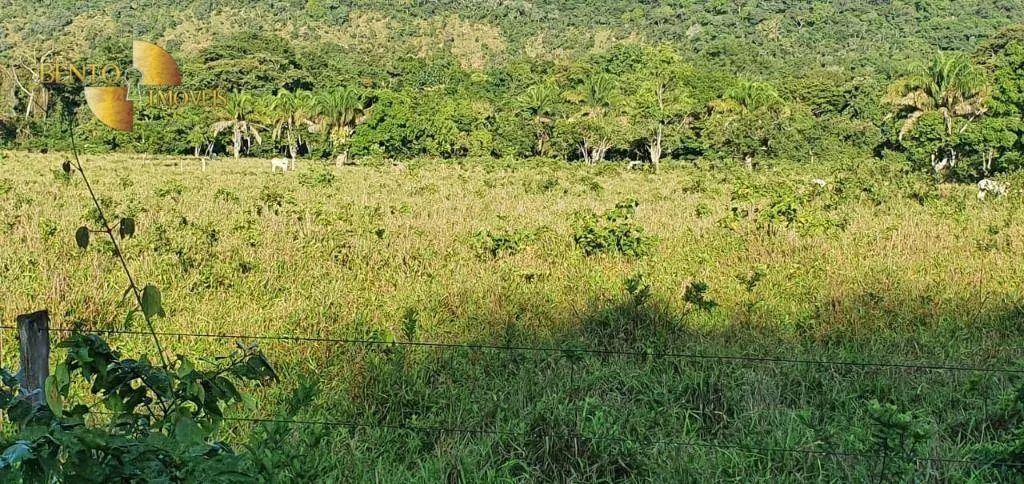 Fazenda à venda de 1.764 ha em Cáceres, MT, Brasil