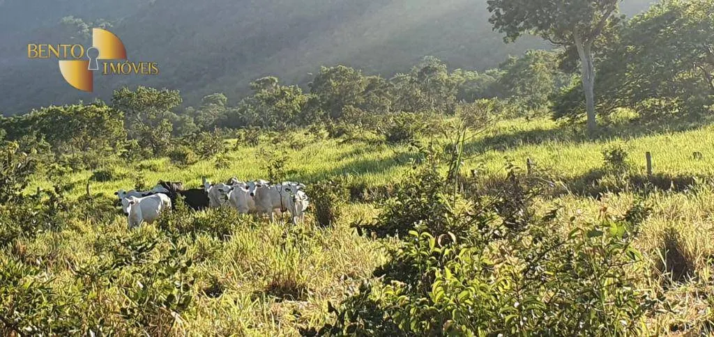 Fazenda à venda de 1.764 ha em Cáceres, MT, Brasil