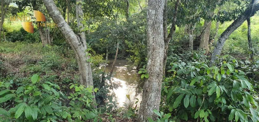 Fazenda à venda de 1.764 ha em Cáceres, MT, Brasil