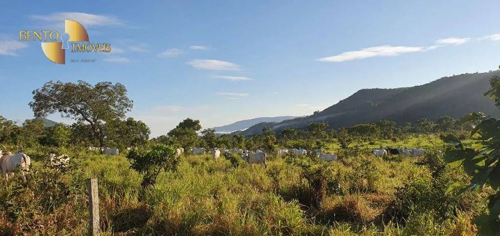 Fazenda à venda de 1.764 ha em Cáceres, MT, Brasil