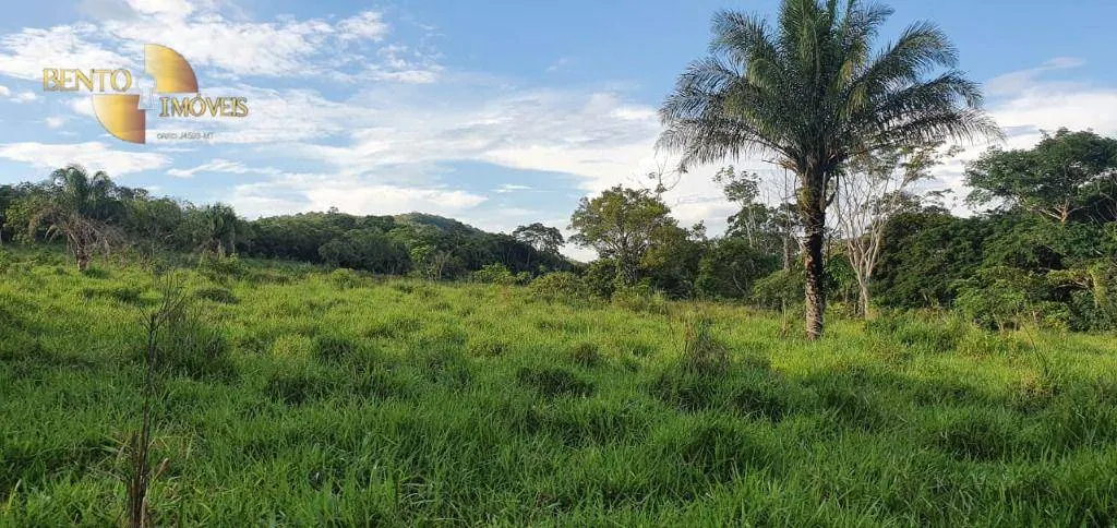 Fazenda à venda de 1.764 ha em Cáceres, MT, Brasil