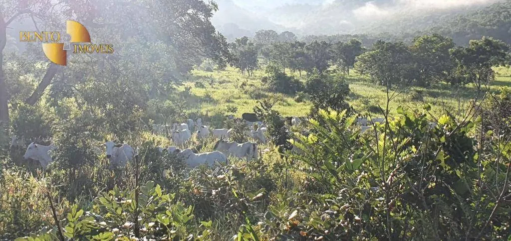 Fazenda à venda de 1.764 ha em Cáceres, MT, Brasil