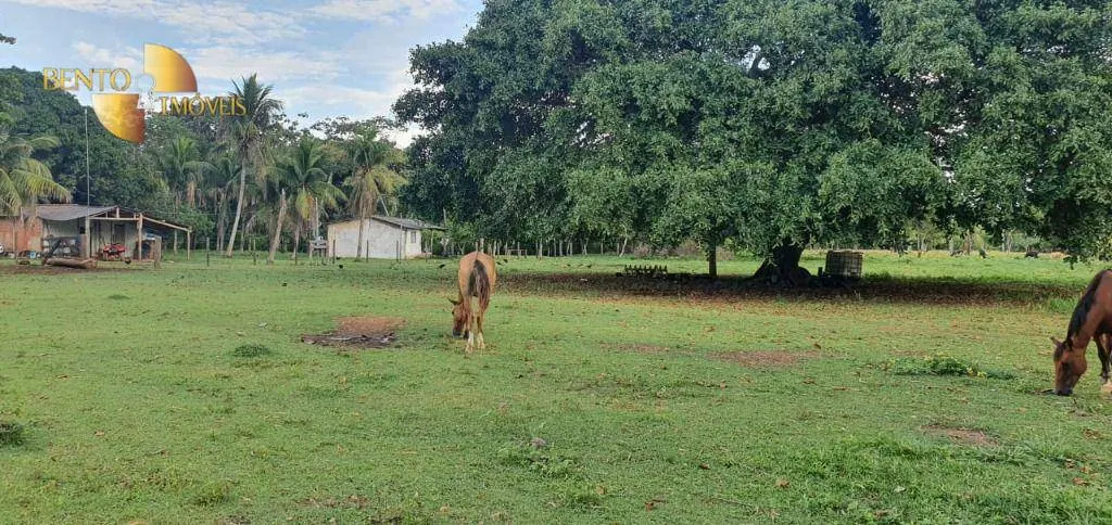 Fazenda à venda de 1.764 ha em Cáceres, MT, Brasil