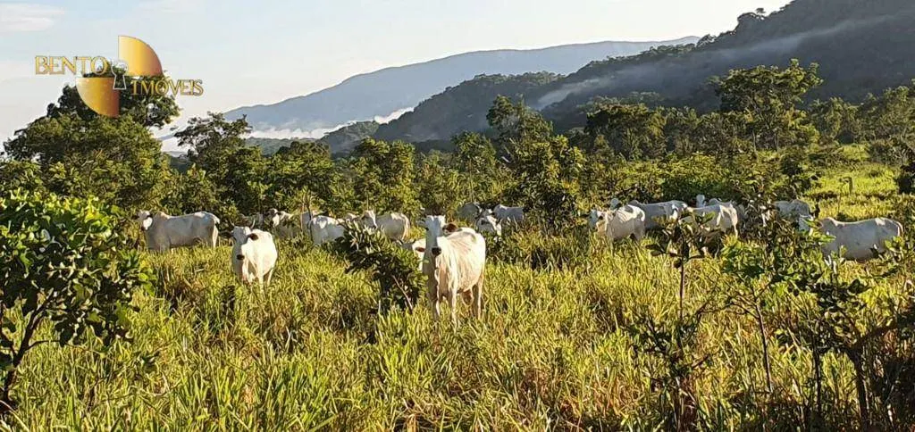 Fazenda à venda de 1.764 ha em Cáceres, MT, Brasil