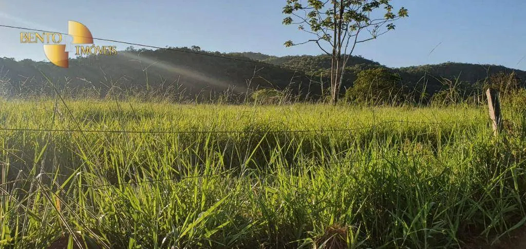 Fazenda à venda de 1.764 ha em Cáceres, MT, Brasil