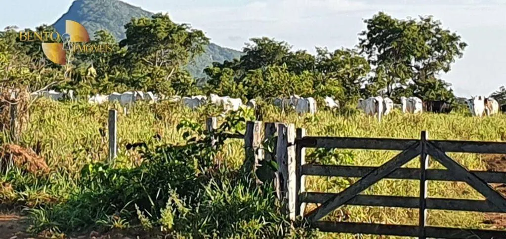 Fazenda à venda de 1.764 ha em Cáceres, MT, Brasil