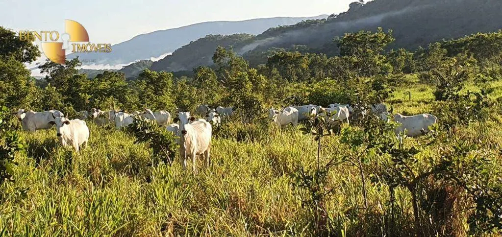 Fazenda à venda de 1.764 ha em Cáceres, MT, Brasil