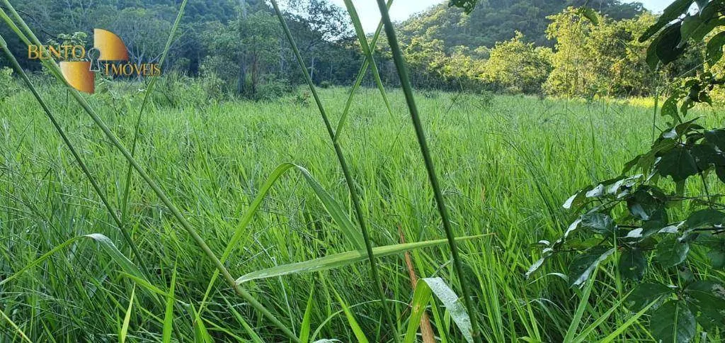 Fazenda à venda de 1.764 ha em Cáceres, MT, Brasil