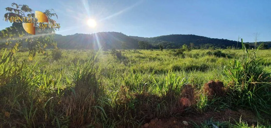 Fazenda à venda de 1.764 ha em Cáceres, MT, Brasil