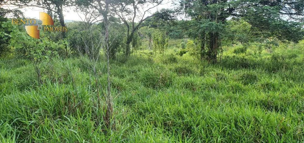 Fazenda à venda de 1.764 ha em Cáceres, MT, Brasil
