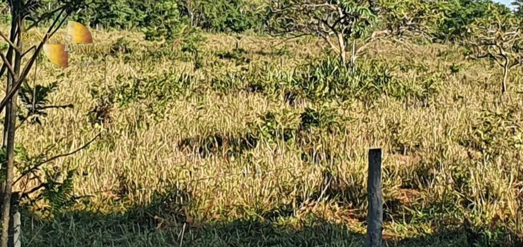 Fazenda à venda de 1.764 ha em Cáceres, MT, Brasil