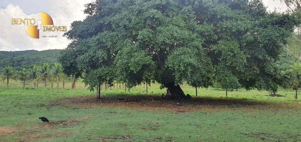 Fazenda à venda de 1.764 ha em Cáceres, MT, Brasil
