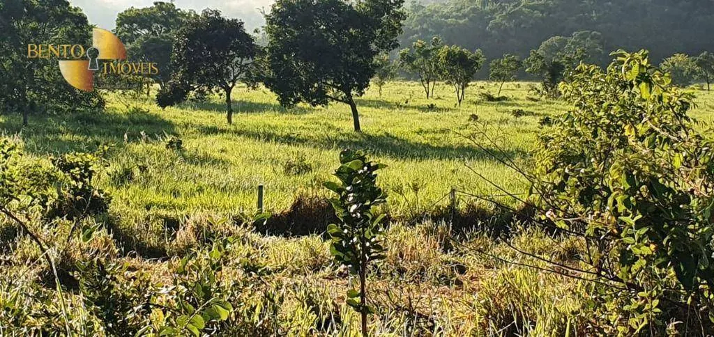 Fazenda à venda de 1.764 ha em Cáceres, MT, Brasil