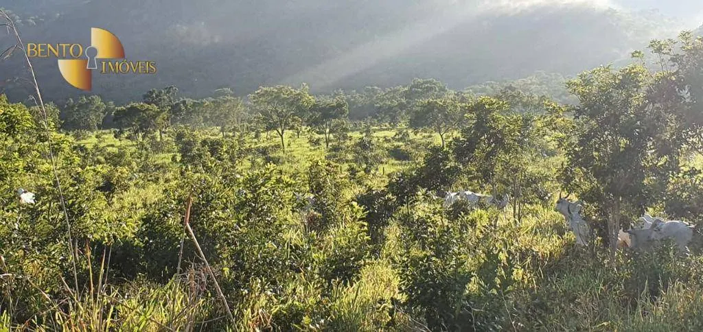 Fazenda à venda de 1.764 ha em Cáceres, MT, Brasil