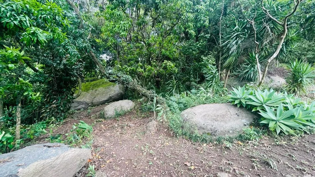 Sítio à venda de 6 ha em Piedade, SP, Brasil