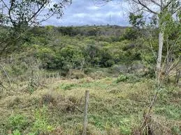 Fazenda à venda de 610 ha em Santa Bárbara, MG, Brasil