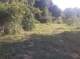 Fazenda à venda de 610 ha em Santa Bárbara, MG, Brasil