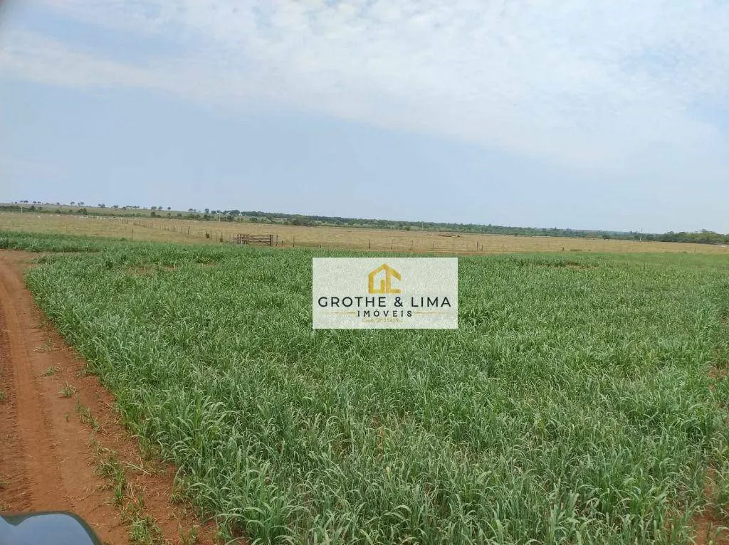Farm for sale of 2,328 acres in Campo Grande, MS, Brazil